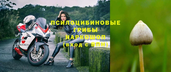 СК Абаза