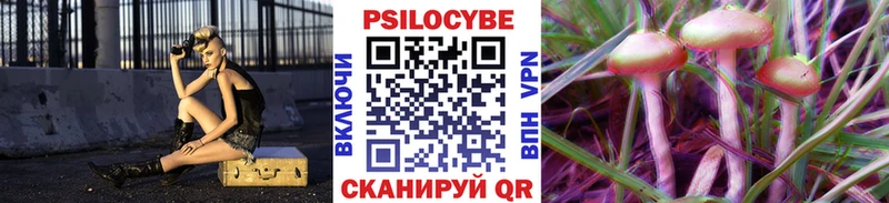 Псилоцибиновые грибы Cubensis  закладка  Разумное 
